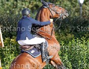 FRANCO Vinco io GioCav2013 S6 7733 : Campionati Italiani Giovani Cavalli, Cattolica, FRANCO Francesco, Vinco io, ph Stefano Secchi ©